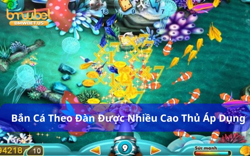 Bắn cá theo đàn là cách bắn cá trúng lớn