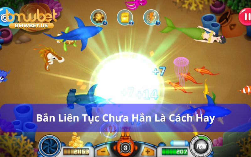 Không bắn liên tục là cách bắn cá không tốn đạn