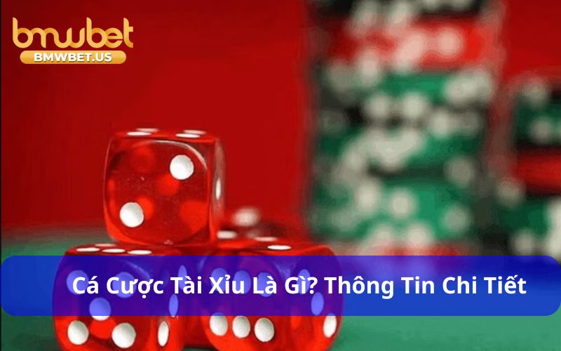 Cá cược tài xỉu là gì? Thông tin chi tiết