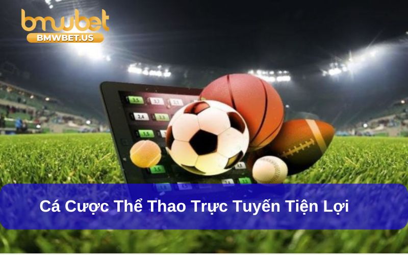 Cá cược thể thao đậm tính giải trí