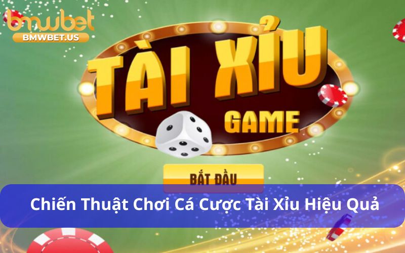 Chiến thuật chơi cá cược tài xỉu hiệu quả