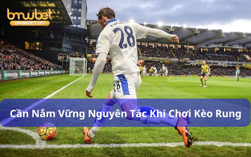 Cách Đánh Kèo Rung Hiệu Quả: Hướng Dẫn Chi Tiết Cho Tân Thủ Người chơi cần nắm vững nguyên tắc trong cách đánh kèo rung