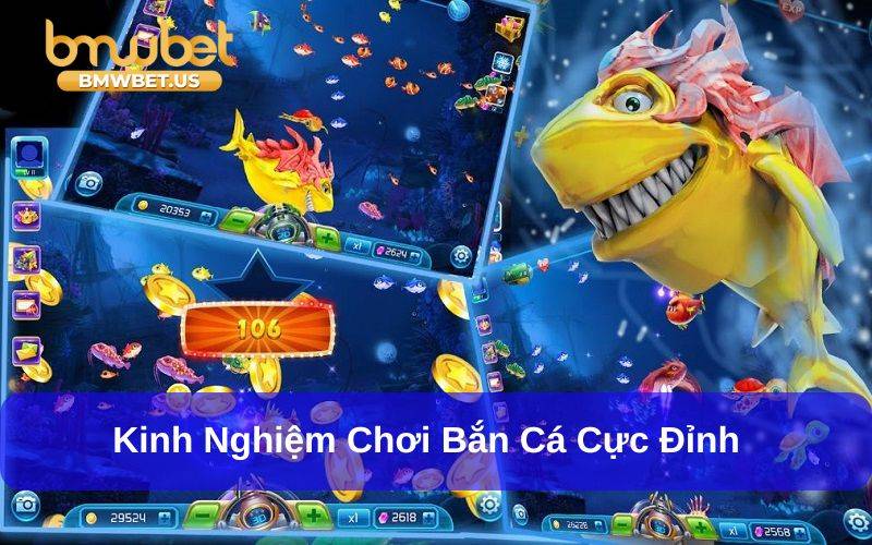 Chiến thuật săn cá đỉnh cao nhất định phải thử