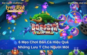 Các mẹo chơi bắn cá dành cho những ai chơi lần đầu