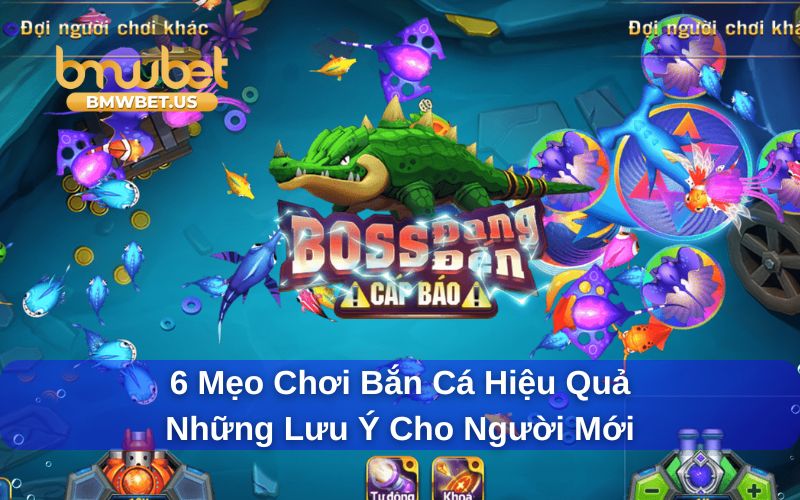 Các mẹo chơi bắn cá dành cho những ai chơi lần đầu